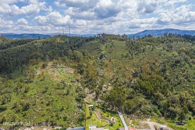 Terreno Florestal em Póvoa de Lanhoso-3