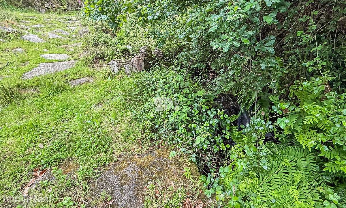 Terreno 4.250m² - Grade - Grande imagem: 4/7