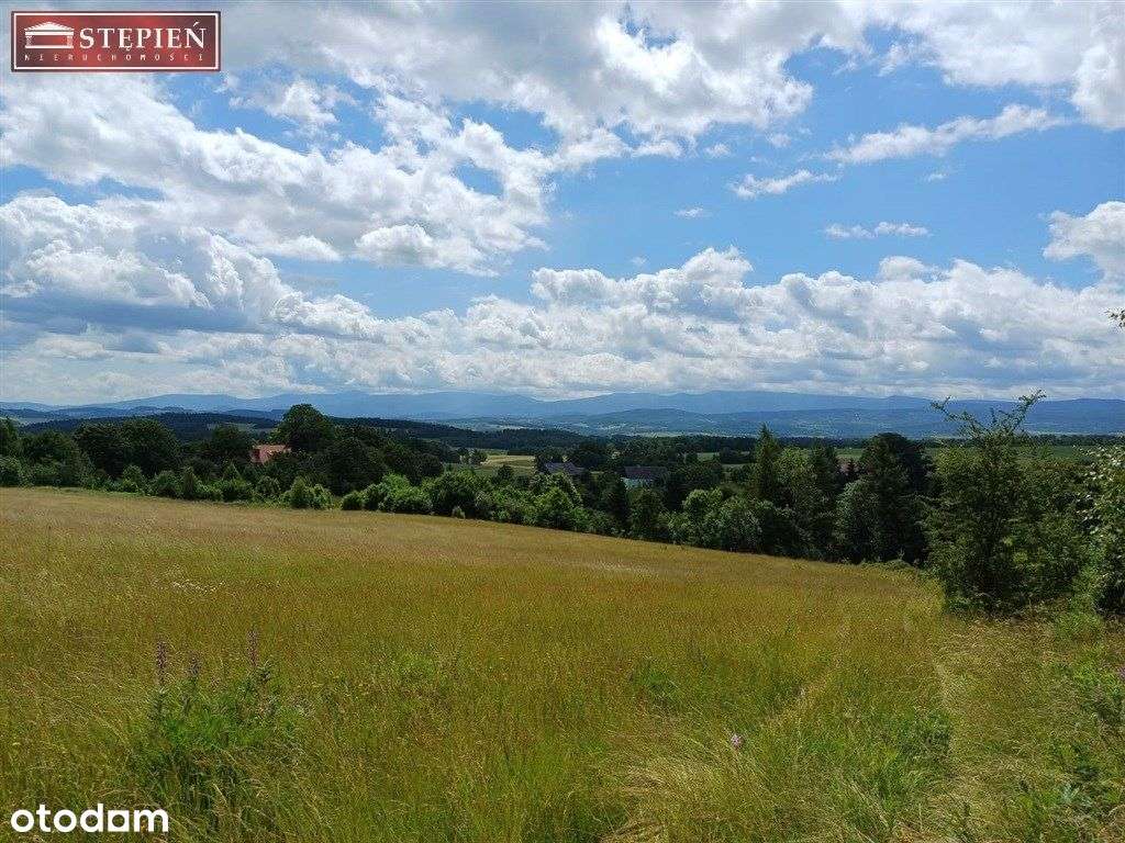 Dom i zabudowa gospodarcza na działce 4,6 ha - Pełny obrazek: 4/19