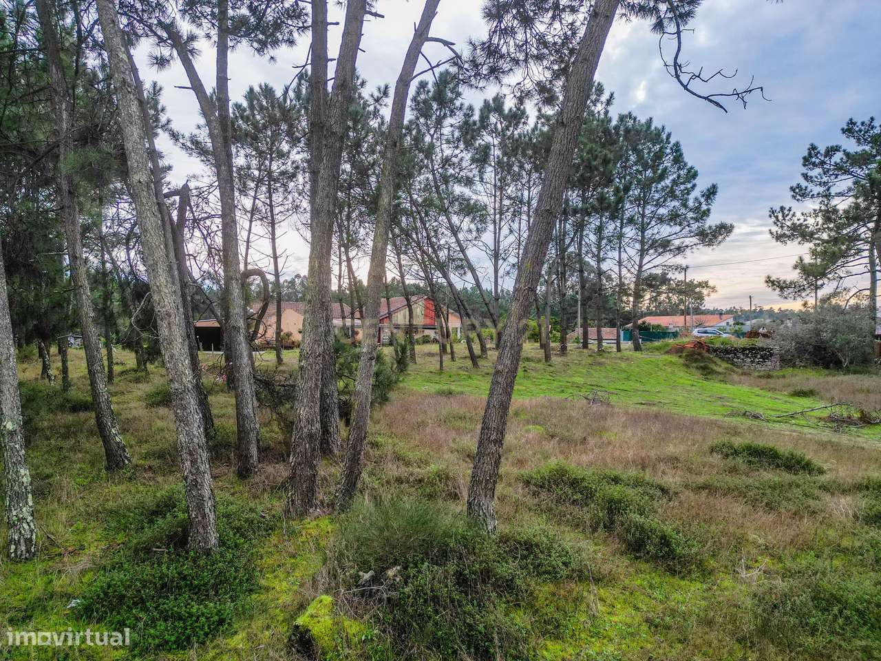 Terreno Misto com Potencial Construtivo em Moinhos da Gândara – Figuei-20