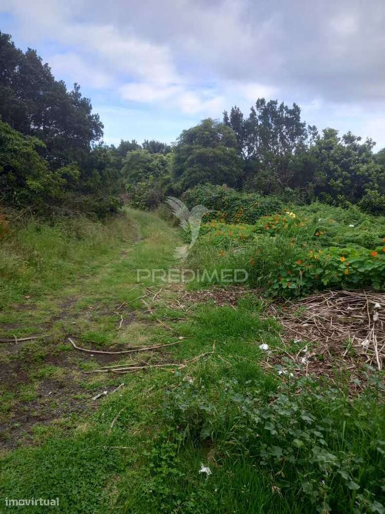 Terreno Urbanizável no Porto Martins - Grande imagem: 5/10