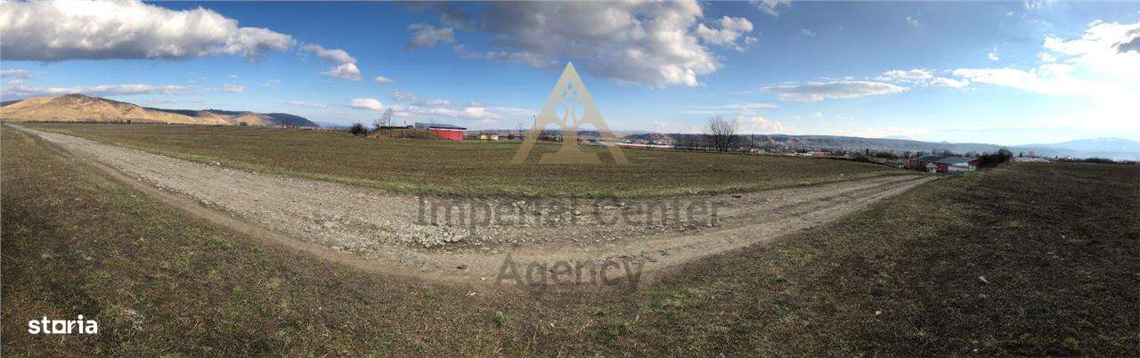 Teren intravilan de vanzare in Tg Trotus-7