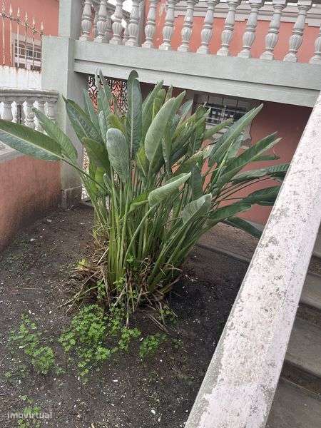 QUINTA DE EVENTOS, Grande oportunidade de investimento - Grande imagem: 4/12