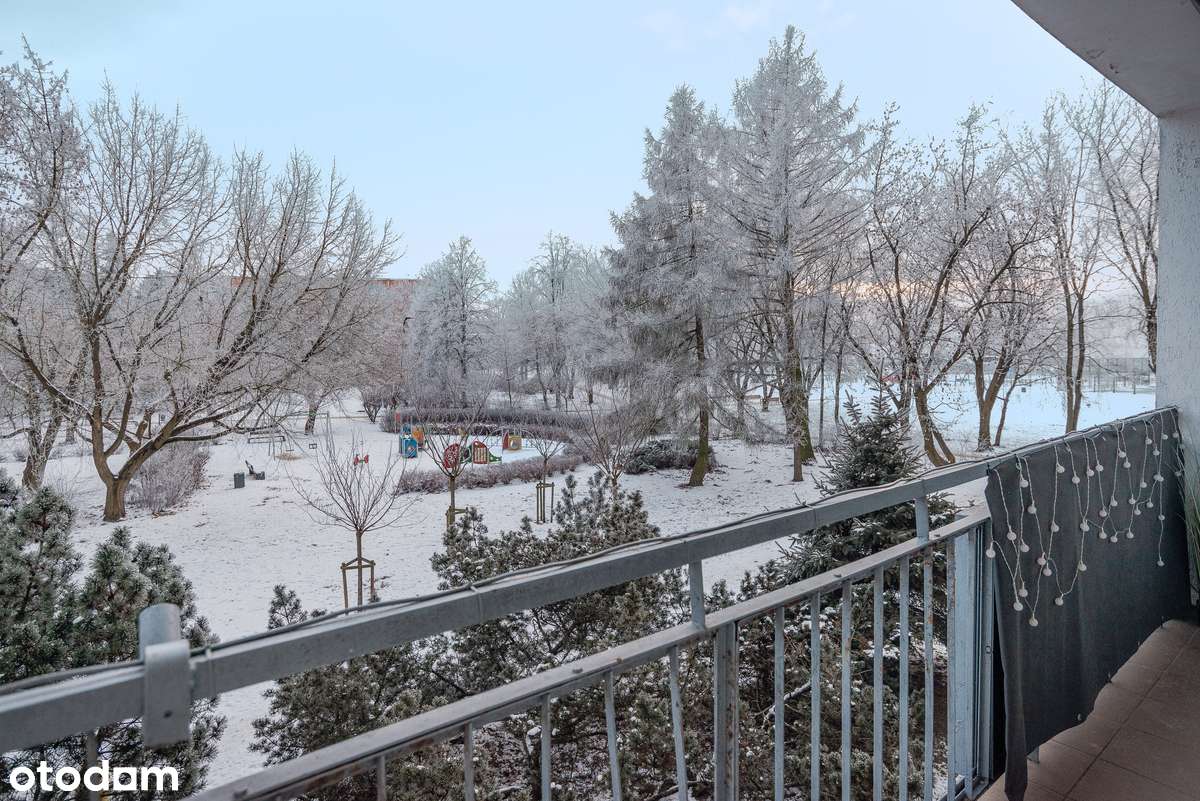 3-pokojowe mieszkanie z balkonem| os. Czwartaków| Pierwsze piętro-11