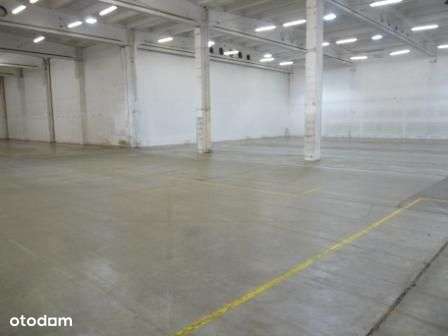 Magazyn o pow. 2360m2 - Pełny obrazek: 1/10