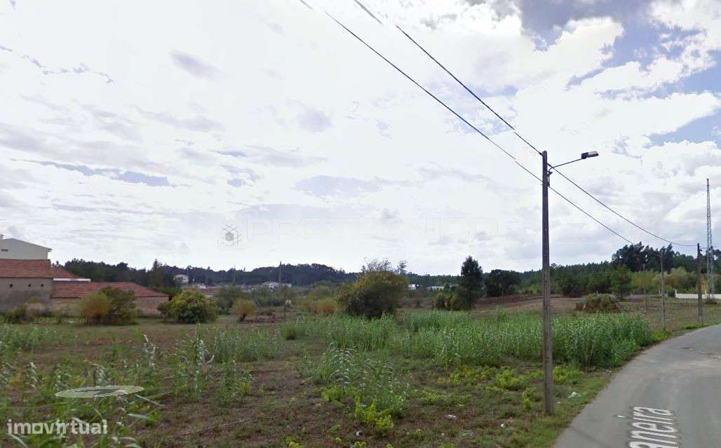 Terreno Caneira - Venda - Grande imagem: 5/6