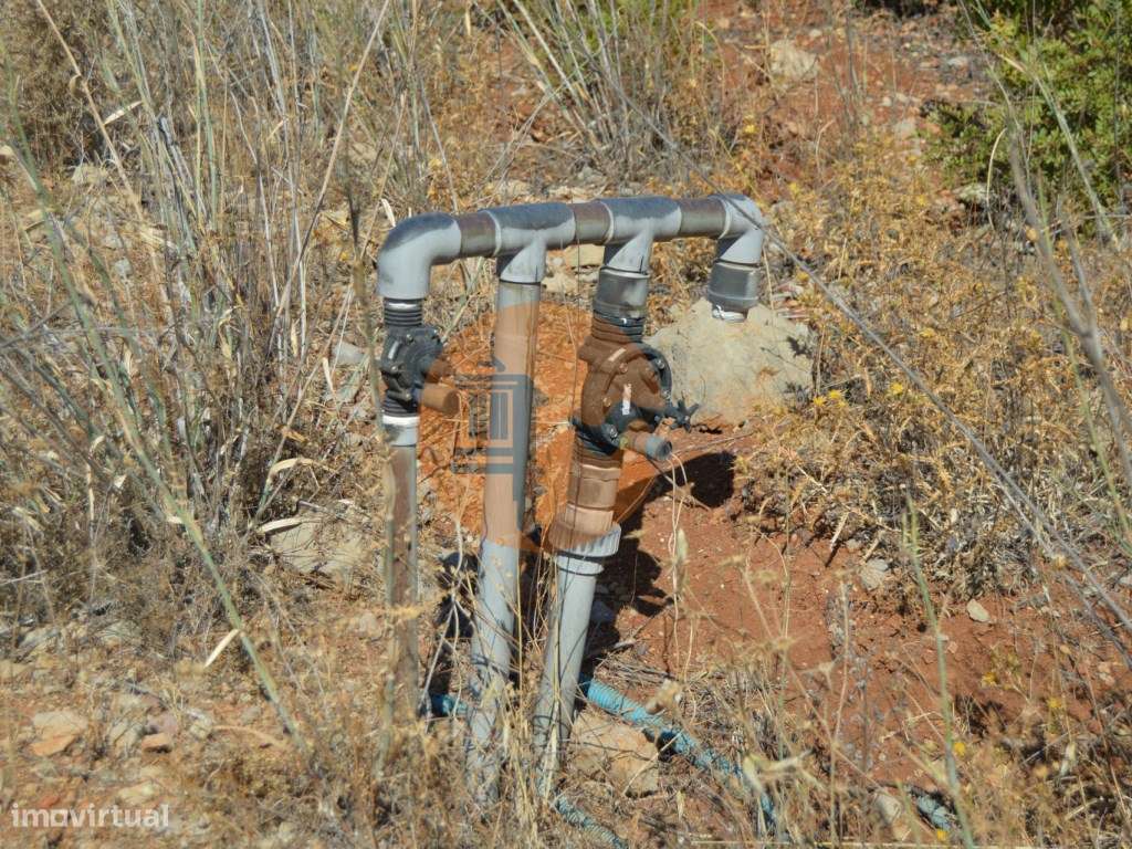 Terreno Rústico Desbarato, Santa Catarina da Fonte do Bispo - Grande imagem: 4/19