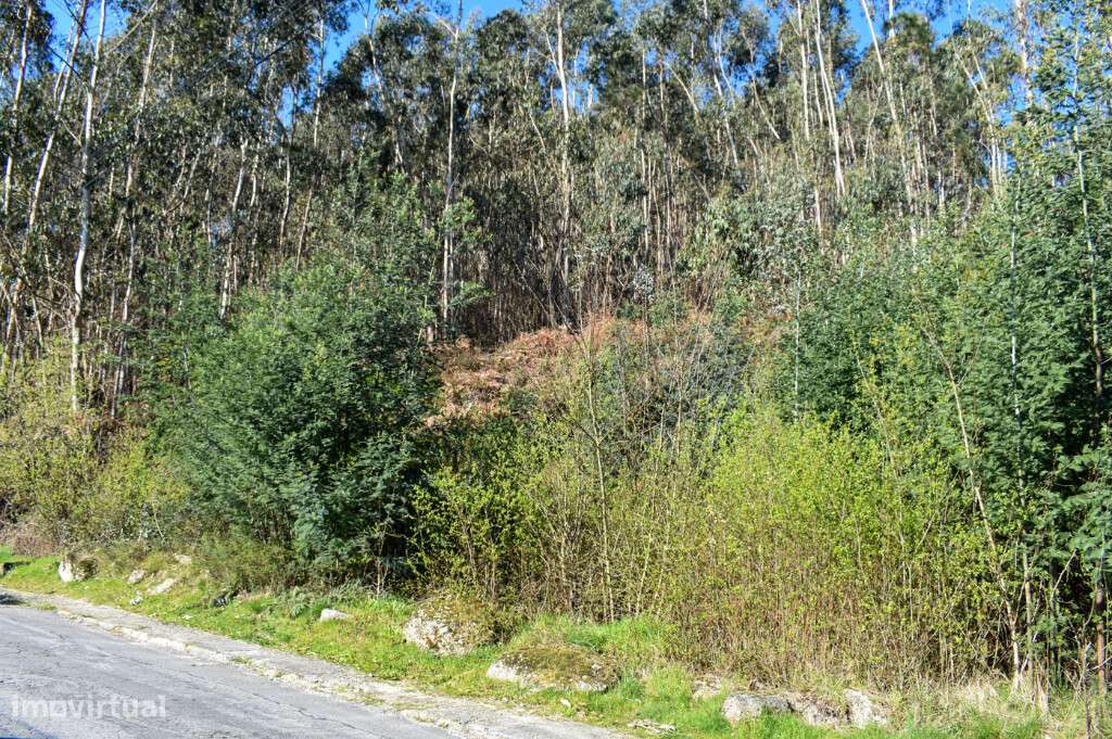 Lote Construção - Vieira do Minho - Grande imagem: 5/10