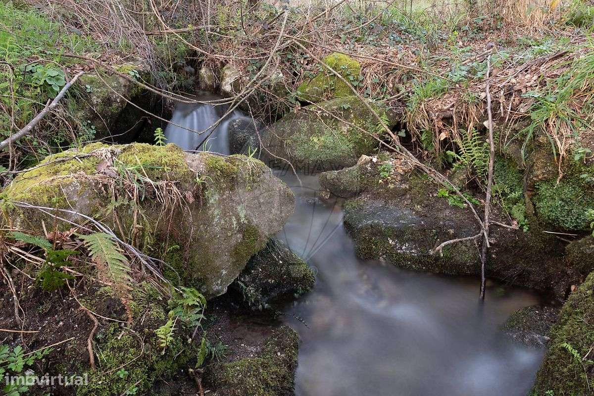 Quinta  para venda-13