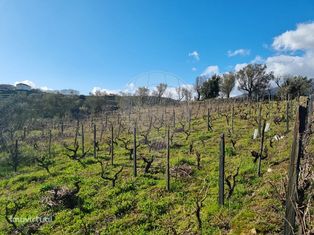 Terreno  para venda