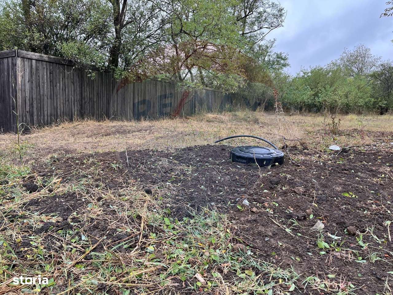Teren intravilan 1700 mp de vanzare Polcesti  Strada Crangului - Imagine principală: 4/10