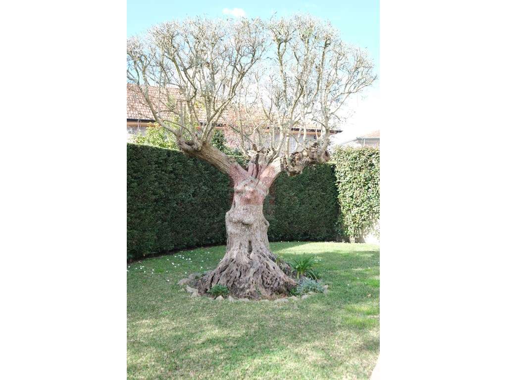 Moradia para venda - Vila Beatriz - Ermesinde-42