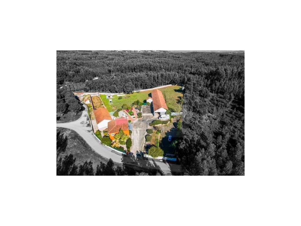 Quintinha com habitação, armazéns e terreno - Rio Maior-10