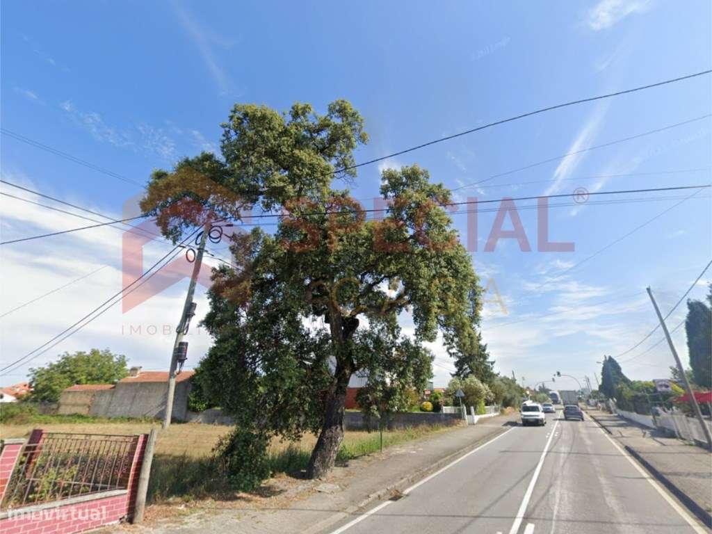 Terreno para construção com 5.000m2 em Anadia, Aveiro-5