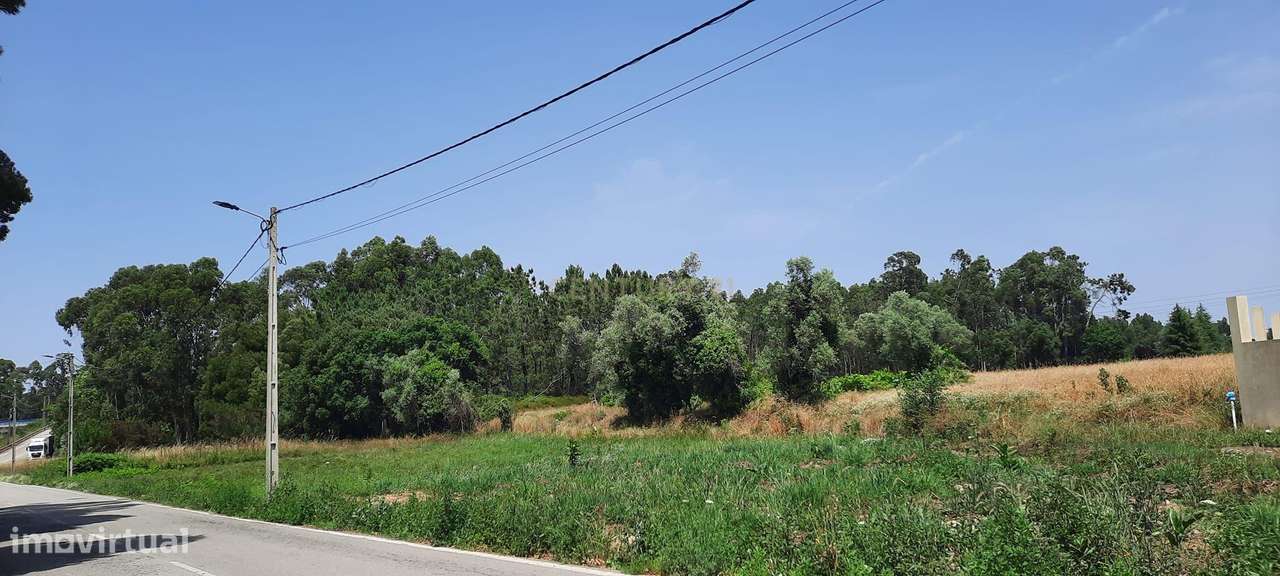 Terreno à venda em Ouca, Vagos - 44.500€ - Grande imagem: 4/9