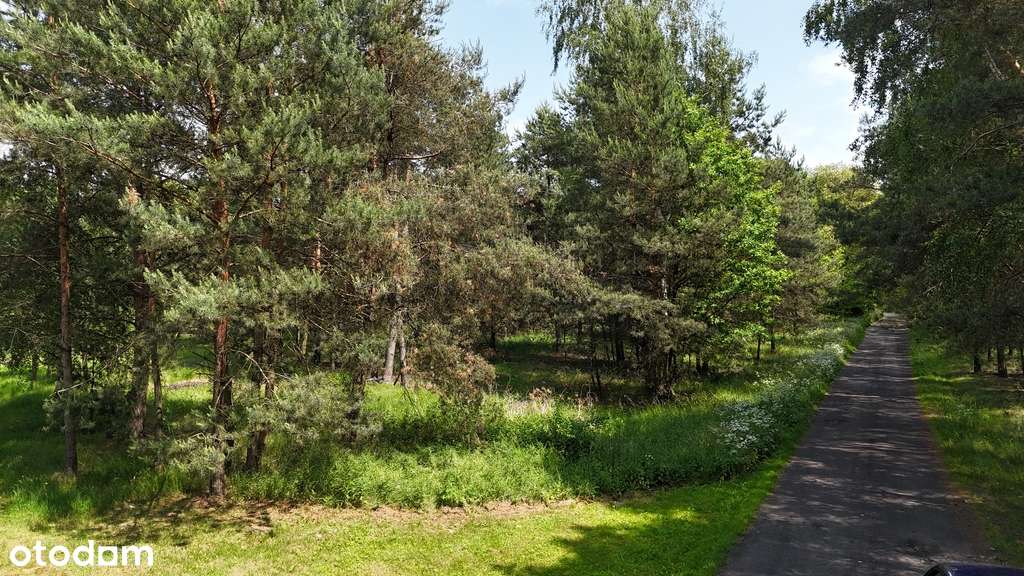 Działka budowlana z lasem - Janków Drugi - Pełny obrazek: 3/8