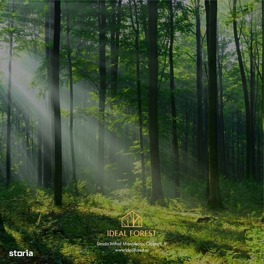 Lot de teren la pret promotional- cu deschidere la padurea Snagov! - Imagine principală: 5/7