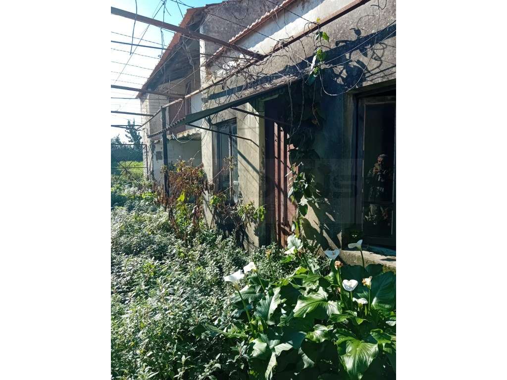 Moradia térrea em restauro - Esgueira / Mataduços - Grande imagem: 5/21