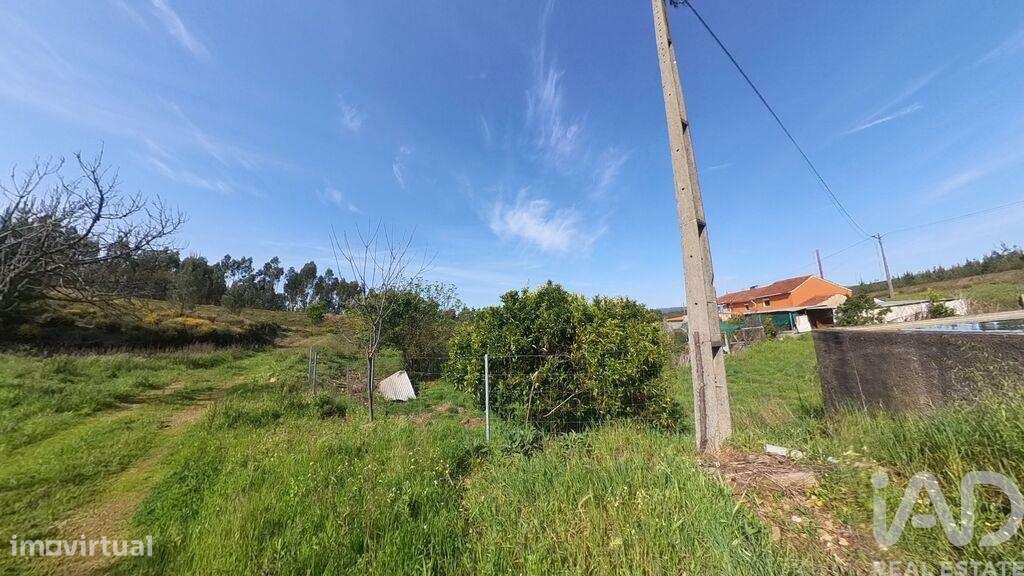 Casa / Villa T4 em Pedrógão Grande de 456,00 m2 - Grande imagem: 5/25