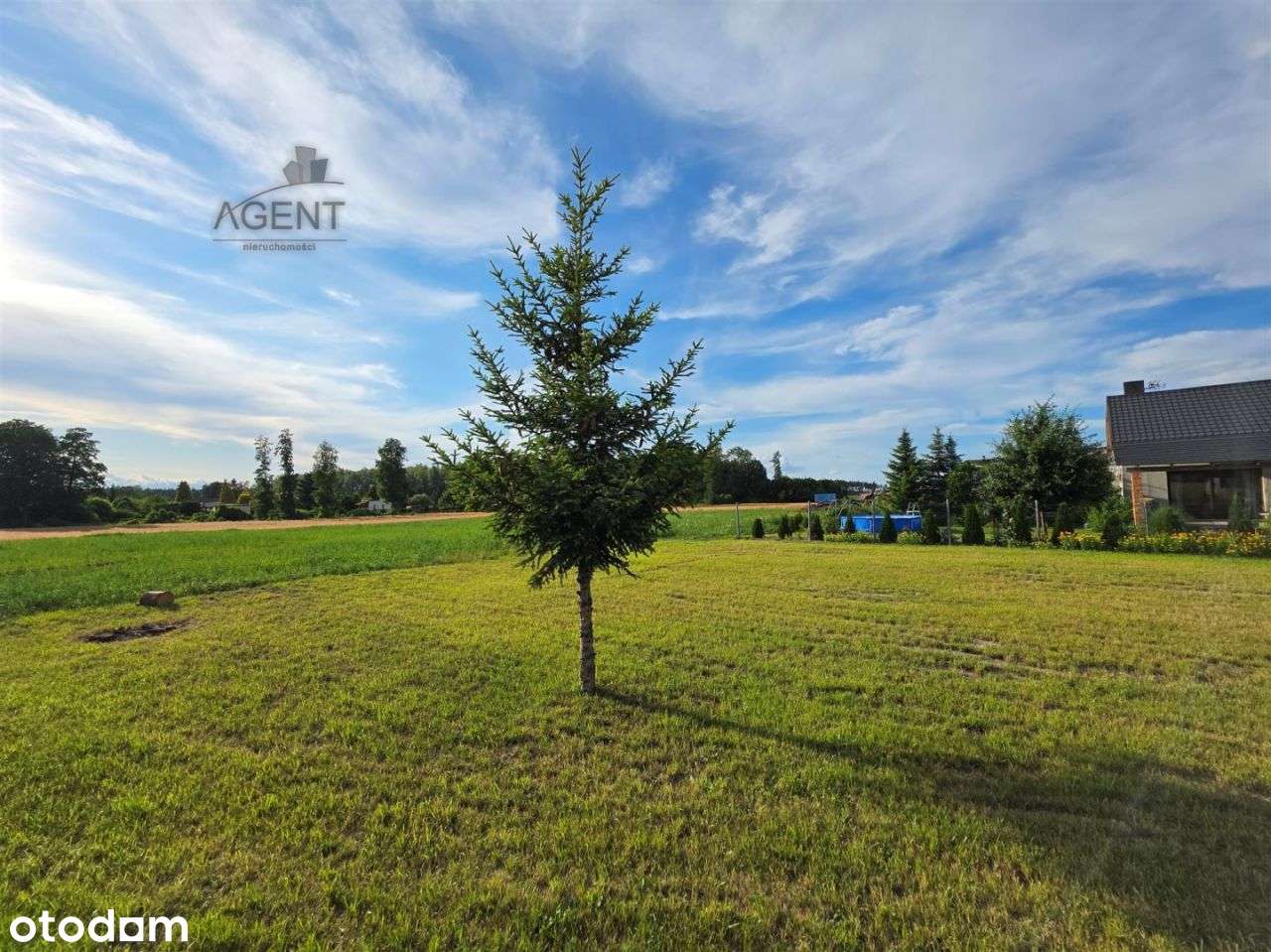 Działki/Nekla Jedna? lub komplet?-5