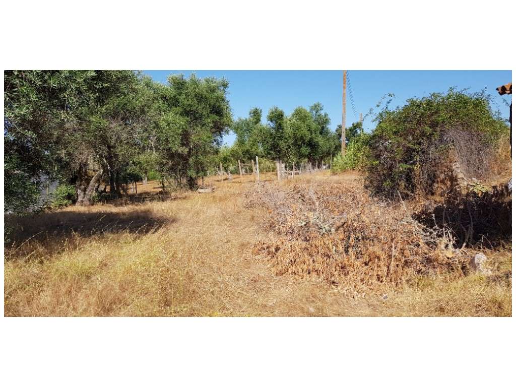 MORADIA - V2 (P/ reconstruir)-9