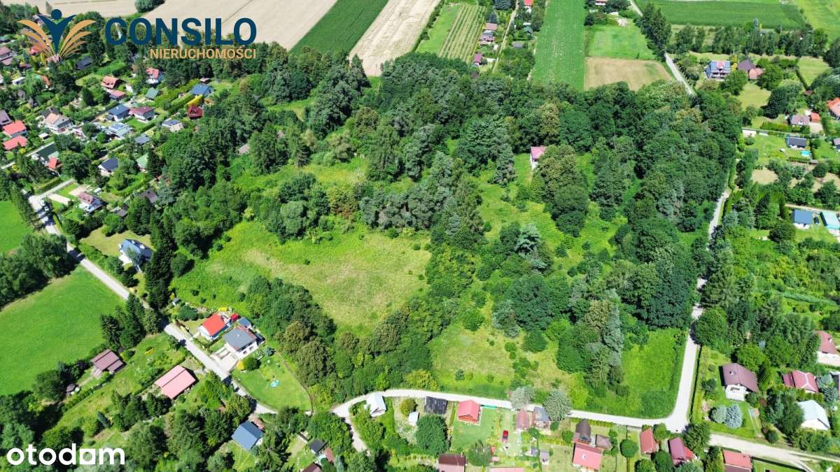 Posiadłość z willą i zabytkowym parkiem - Pełny obrazek: 5/20