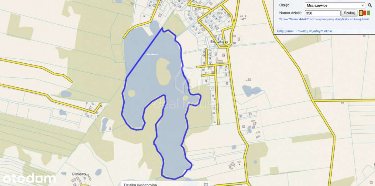 Pierwsza linia brzegowa, Jezioro Stacinko.-13