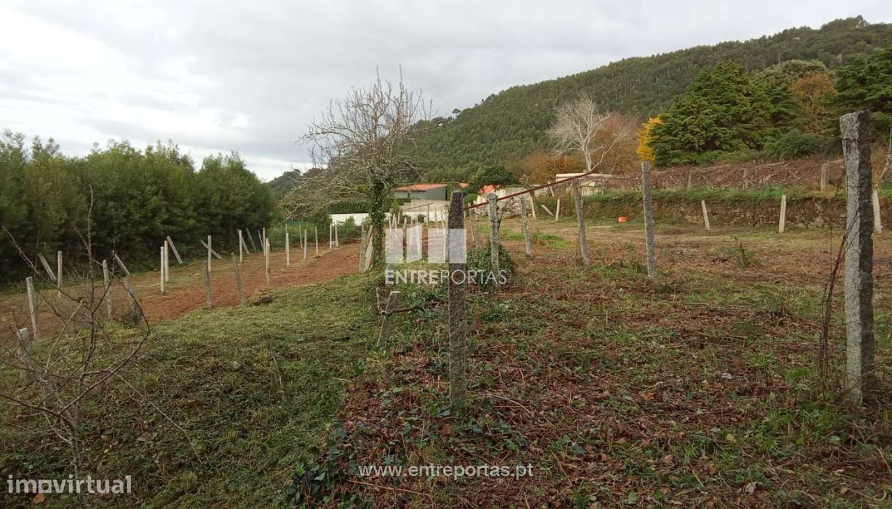 Terreno de construção para venda, Cristelo, Caminha - Grande imagem: 5/13