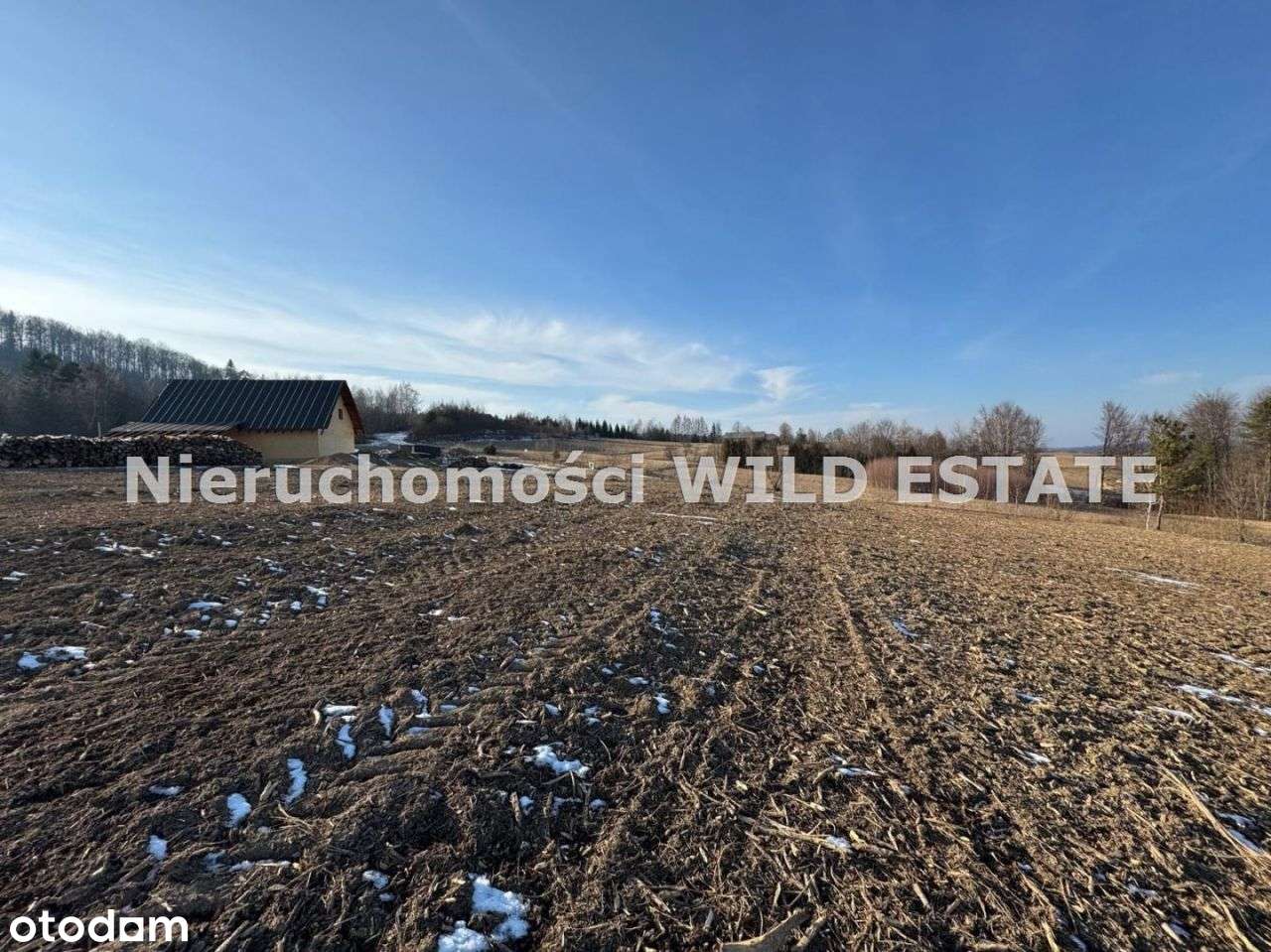 Działka, 24 531 m², Solina - Pełny obrazek: 5/12