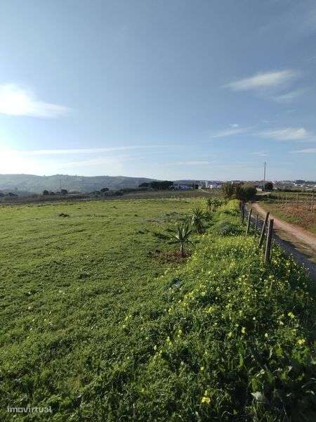 Terreno para Aluguer - Zona Previlegiada - Grande imagem: 4/7