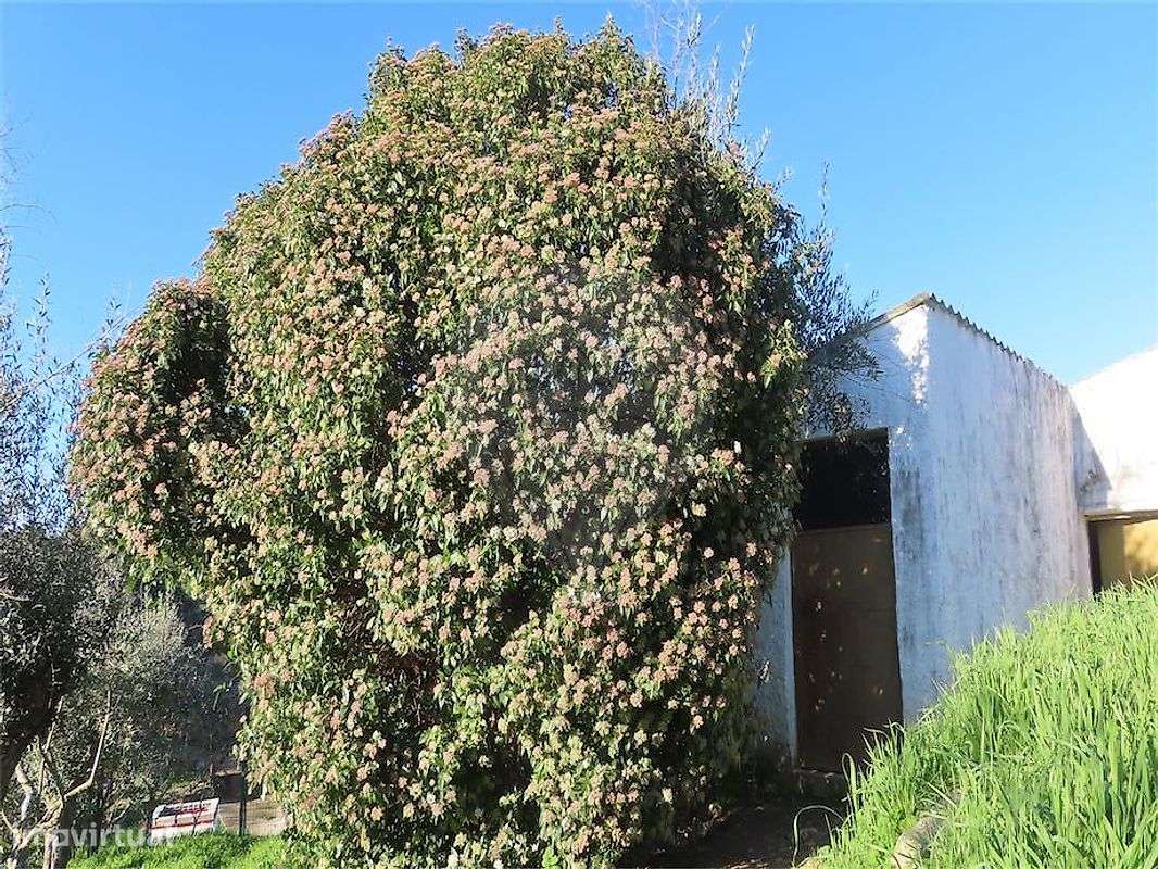 Moradia T3 para venda-35