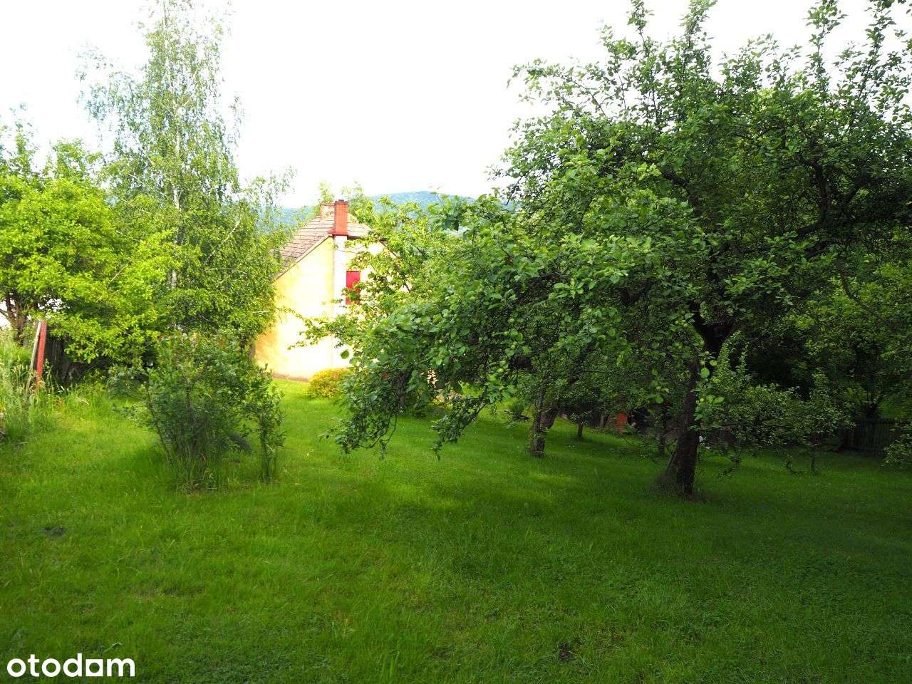 Mucharz- dom 86 m2 z działką30 ar - Pełny obrazek: 4/10