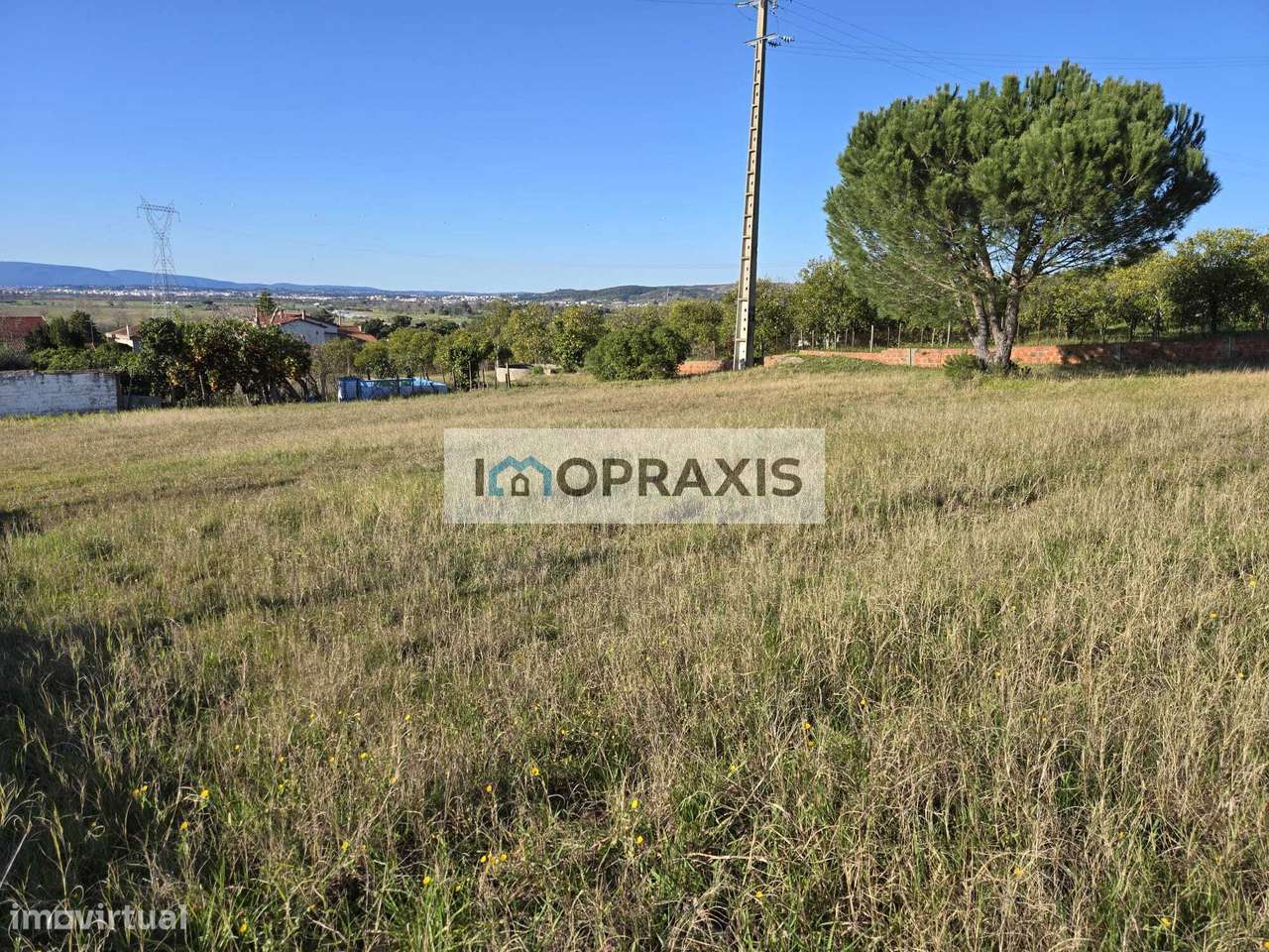 Lote Urbano situado na Carregueira – Chamusca- Santarém - Grande imagem: 3/5