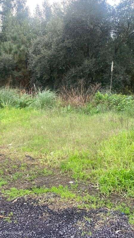 Terreno  para venda - Grande imagem: 5/10