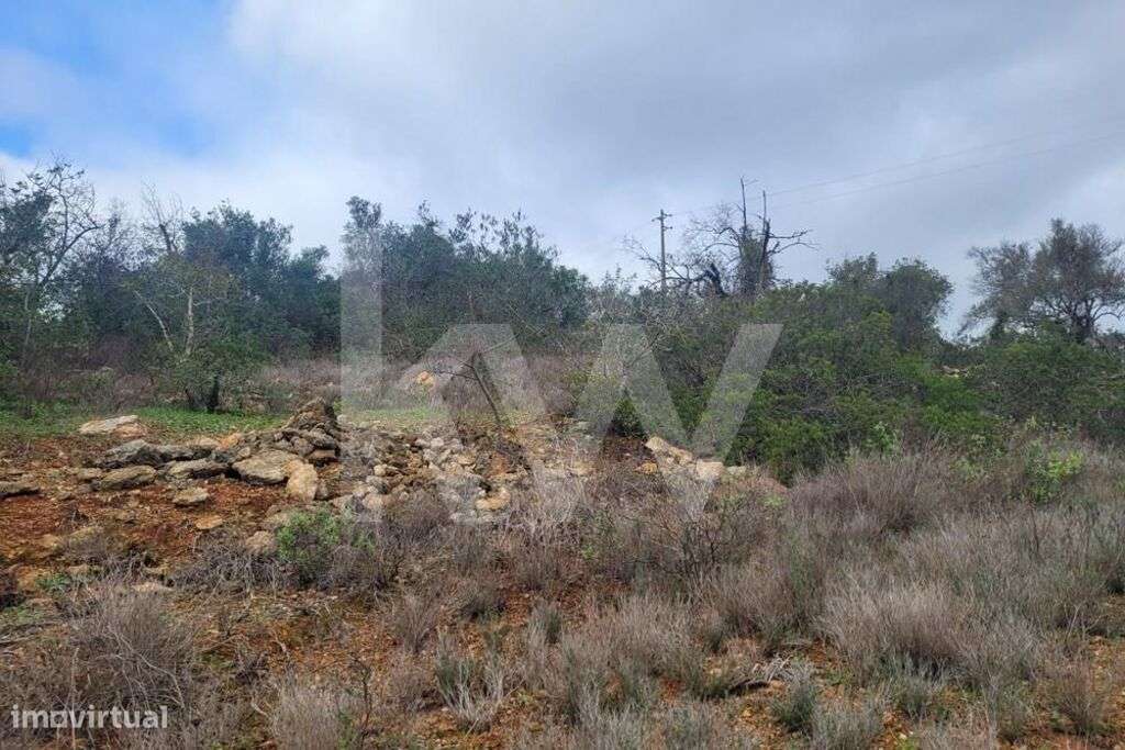 TERRENO RÚSTICO COM 5240M2 NO MALHÃO-PADERNE-ALBUFEIRA - Grande imagem: 4/10