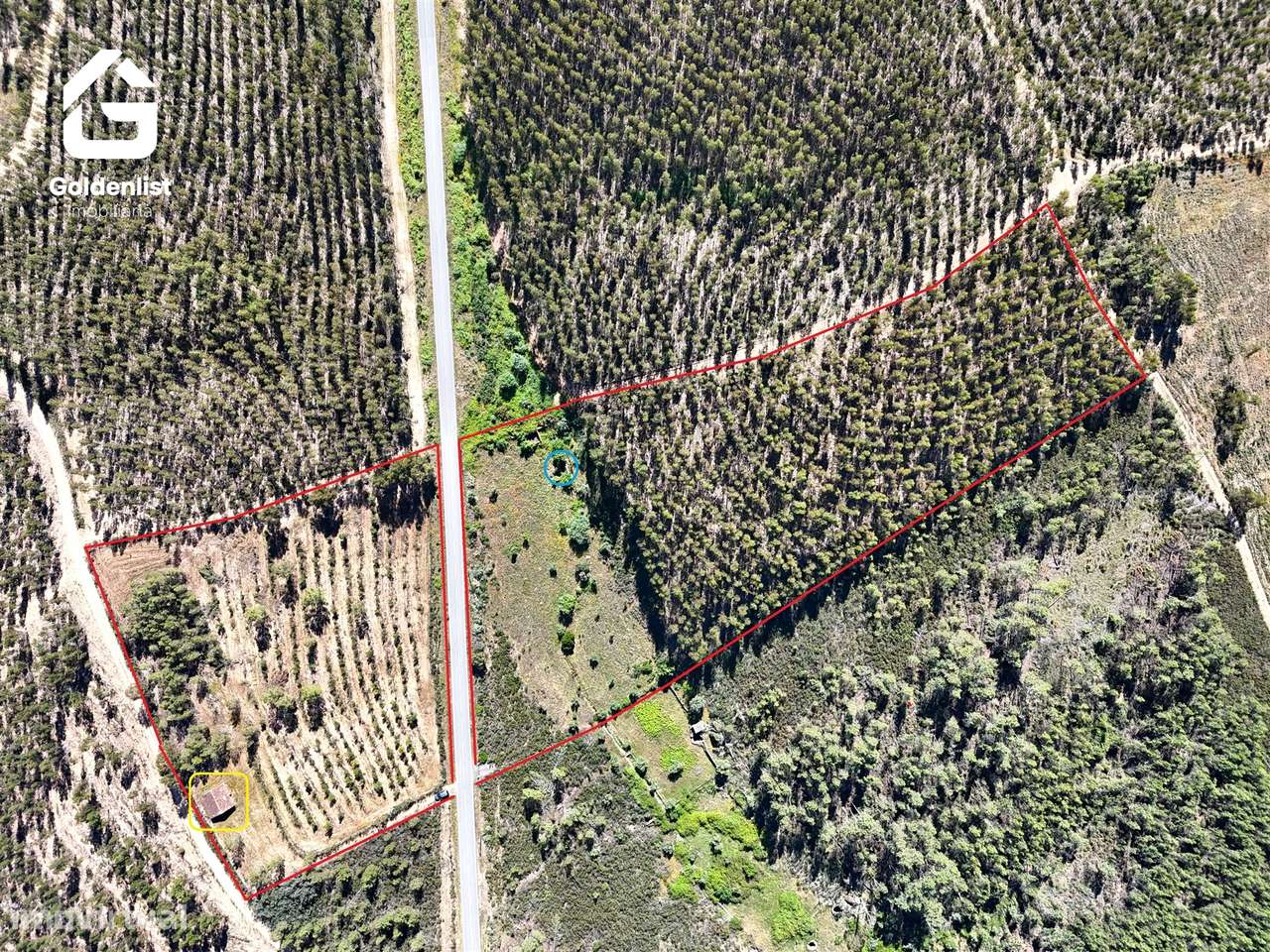 Quinta  Venda em Sarnadas de Ródão,Vila Velha de Ródão-17