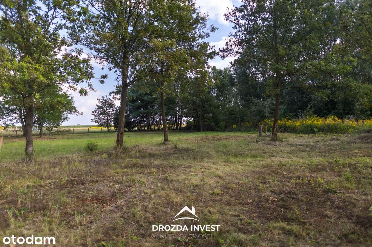 Działka budowlana 1799 m² – Księstwo, okolice Aleksandrowa Łódzkiego - Pełny obrazek: 5/8