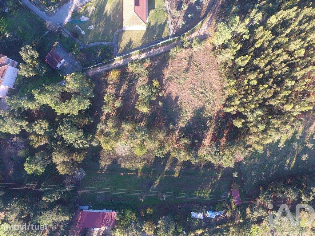 Terreno para construção em Poiares - Grande imagem: 4/34