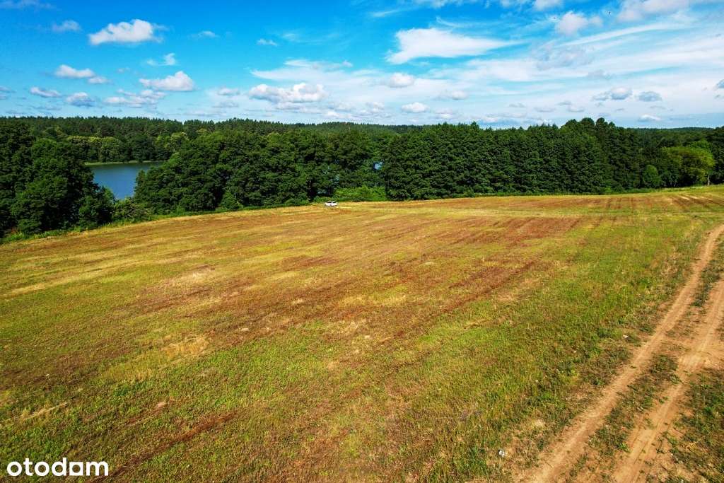 Działki z linią brzegową oraz z dostępem do jeziora Wierzbowskiego-11