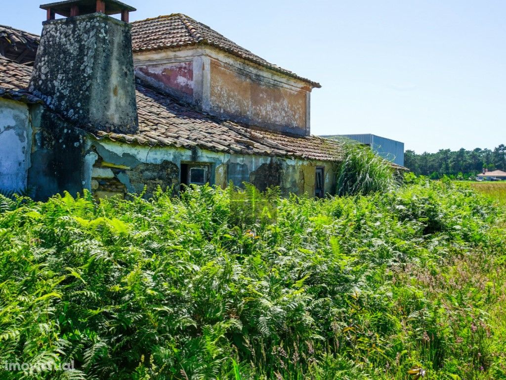 Moradia T3 para reconstrução, Torrão do Lameiro