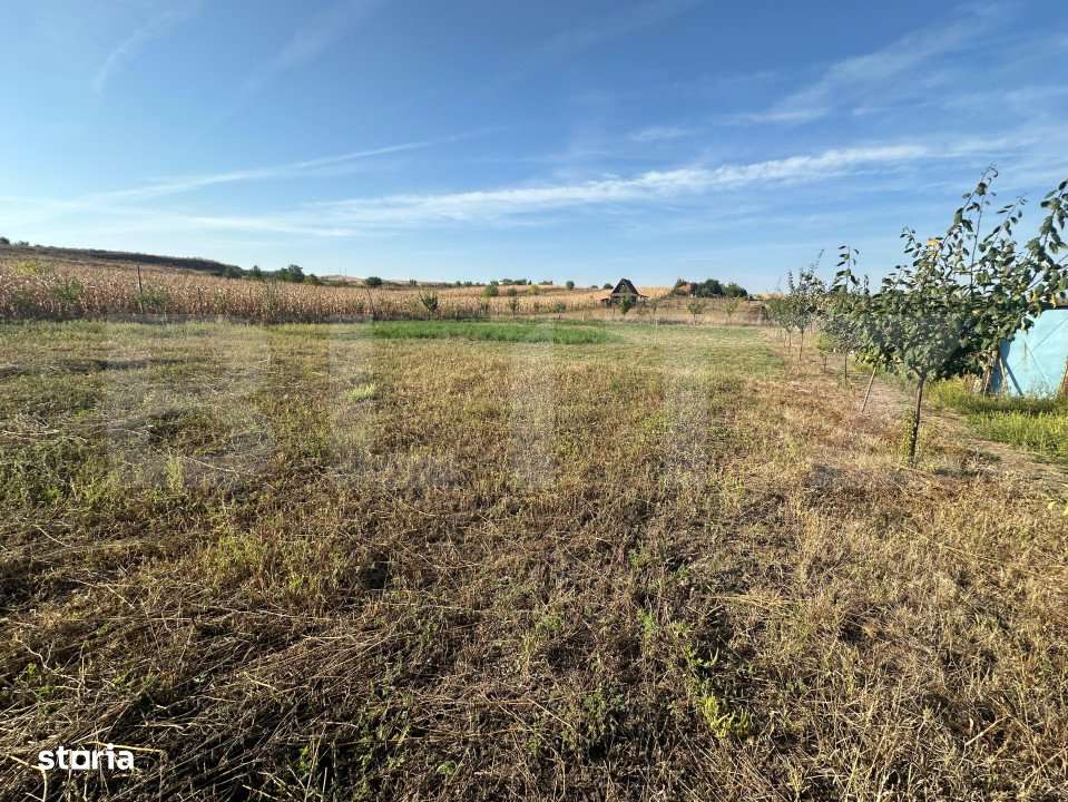 Teren extravilan, Oarda de Jos, 2072 mp, parcele intre 500-572 mp - Imagine principală: 2/3