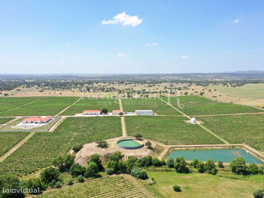 Herdade de vinha com 36 ha e agro-turismo no Alentejo - Grande imagem: 3/56