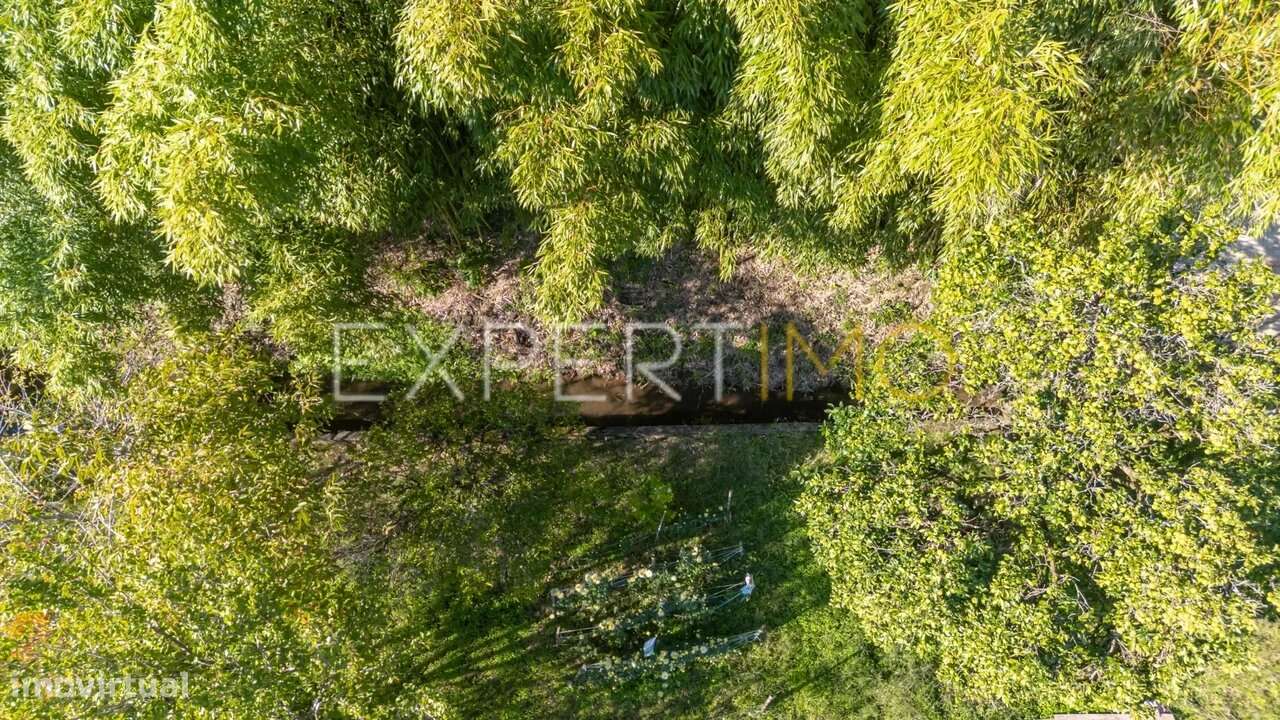 Terreno junto a Ribeiro em Quinta do Colaço (Almalaguês/Coimbra)-5