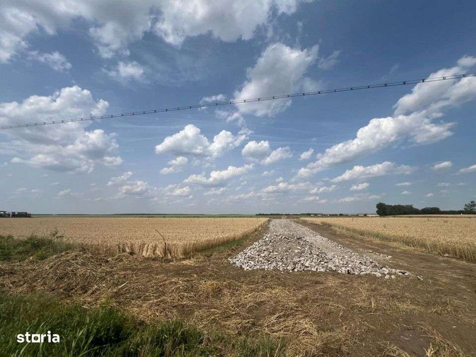 Teren Frumusani | RATE 24 LUNI | Utilitati | Investitie | D.N. 4 - Imagine principală: 3/7