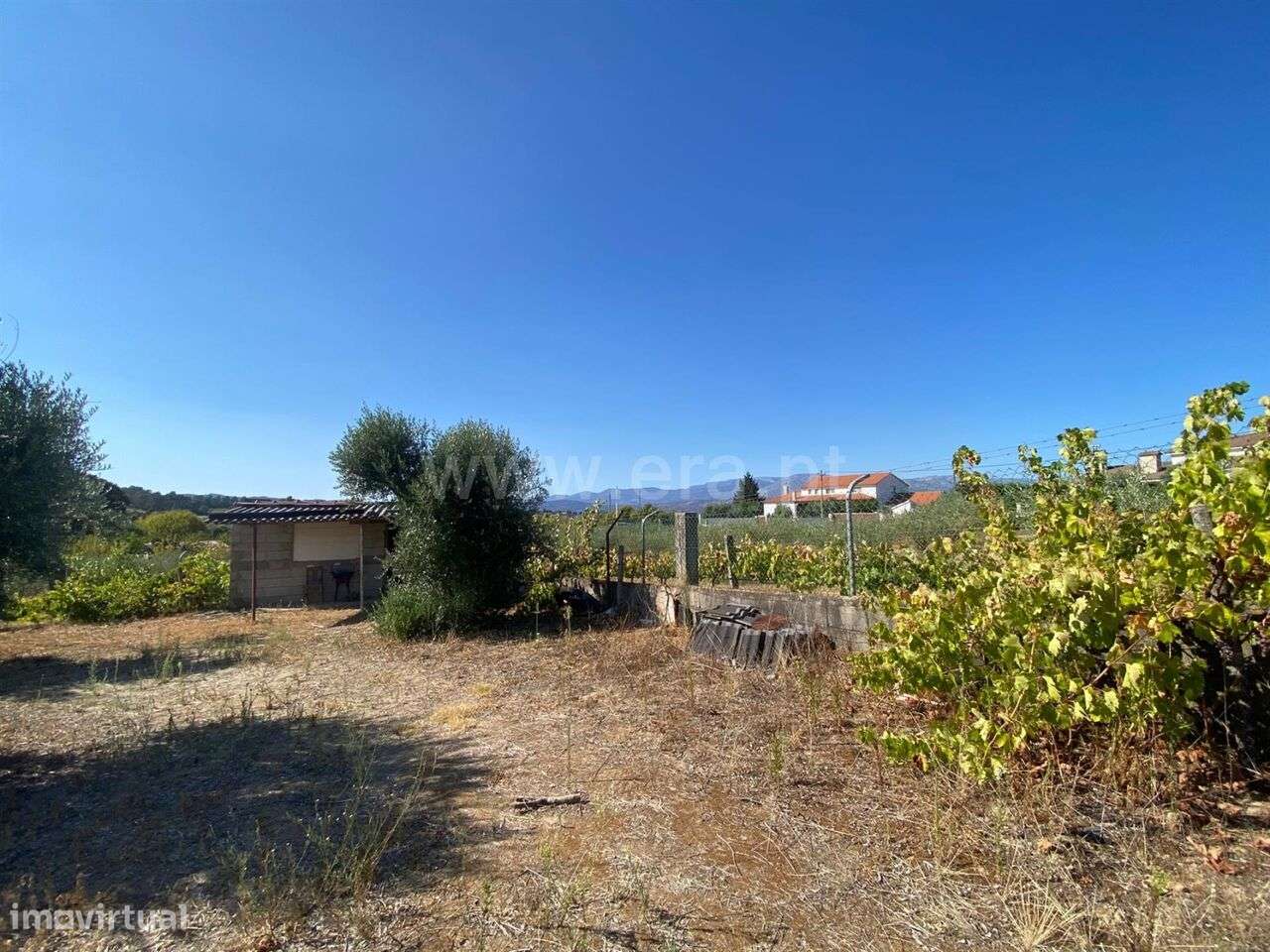 Terreno Agrícola Fundão - Grande imagem: 2/8