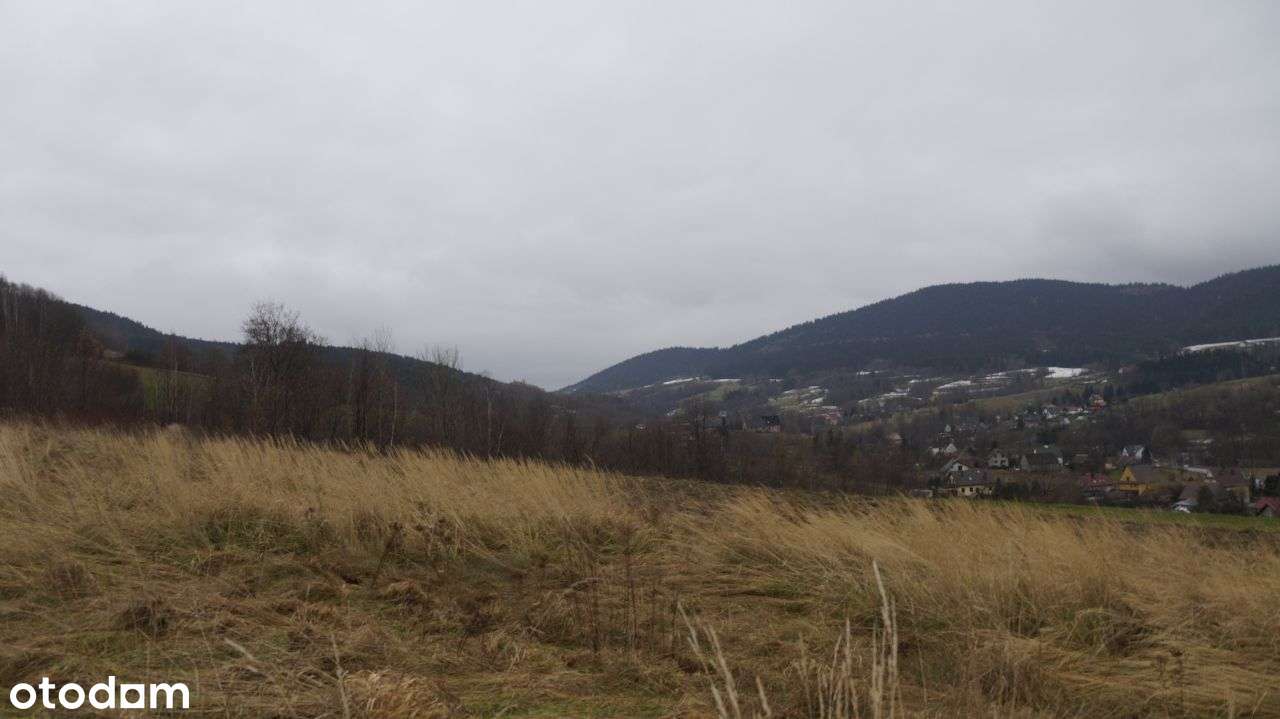 Duża 70 ar widokowa działka Wierzbanowa- Wiśniowa - Pełny obrazek: 4/9