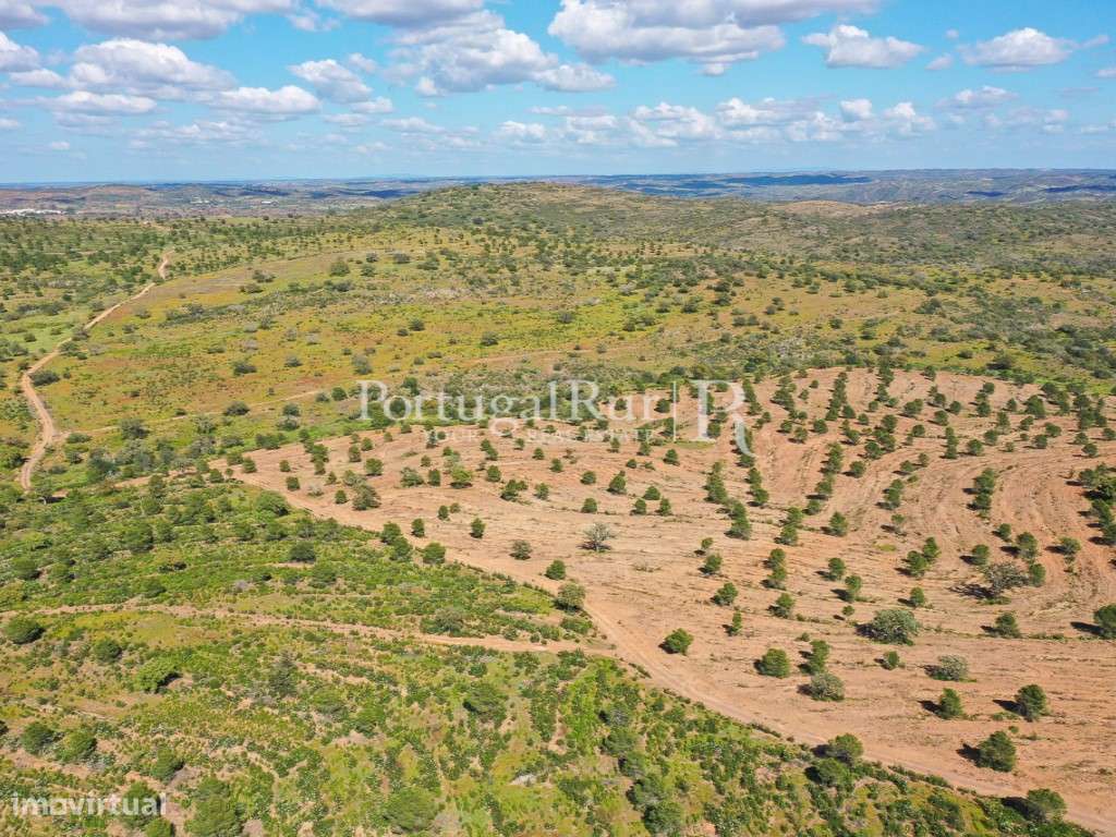 Herdades de Caça com 1300 Hectares, junto do rio Guadiana-18