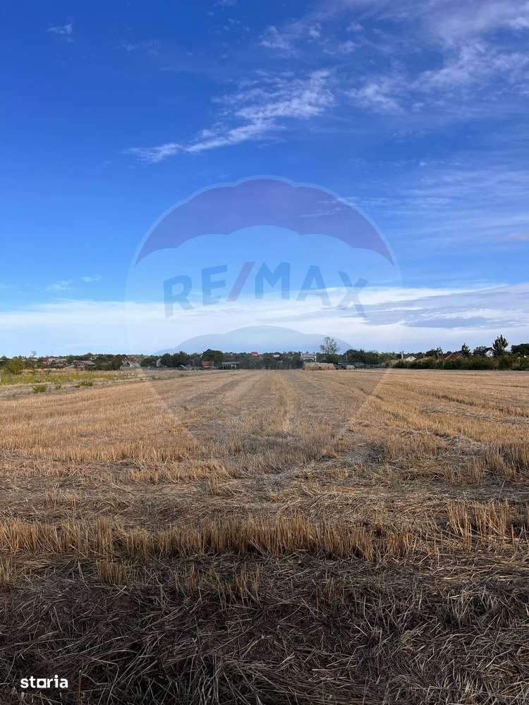 Teren intravilan de vanzare - Imagine principală: 1/3
