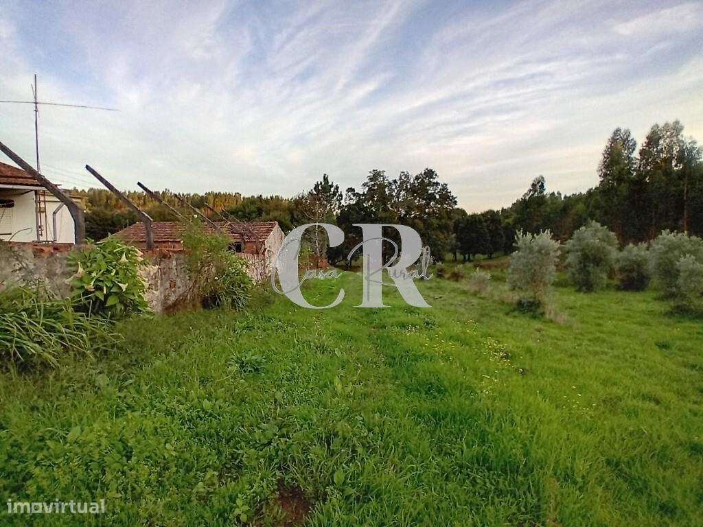 Moradia T3 com terreno pronta a habitar, logradouro e poço de água em-31