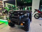 Kawasaki Brute Force - 2